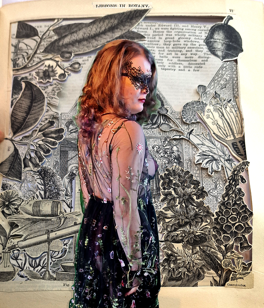 The Boann Project: Embroidered Black Tulle Robe  Raven Dreams Luxury Plus  Size Lingerie by Abigail Tyrrell